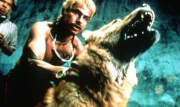 Amores Perros