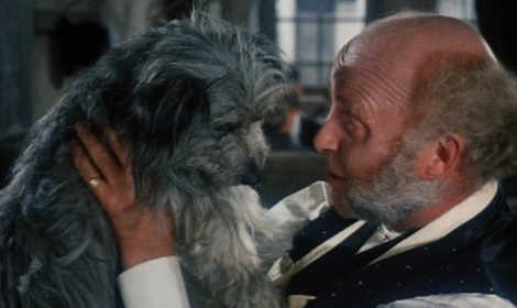 The Adventures Of Greyfriars Bobby